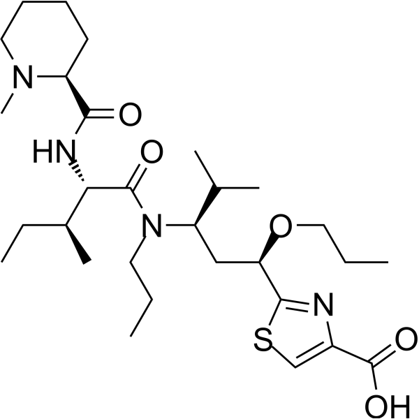 TAM558 intermediate-4